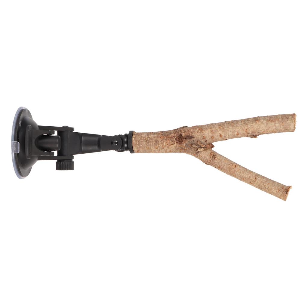 Bird Branch Perch Stand Training Interactive Prevent Slip Wooden Parrot Perch with Suction Cups for