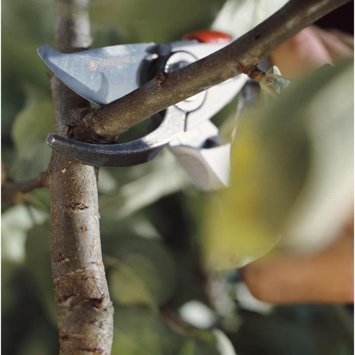 Sécateur GARDENA BP 50 Premium - Ø24mm max - Lames franches acier inox - Poignée ergonomique - Garantie 25 ans