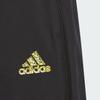 Adidas Kids Shorts Moderate IA8275