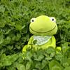 Kawaii Green Frog Plush Doll 23cm Soft Stuffed Animal Toy with Scarf Lovely Cartoon Frog Plushie for Children Baby Shower Gift
