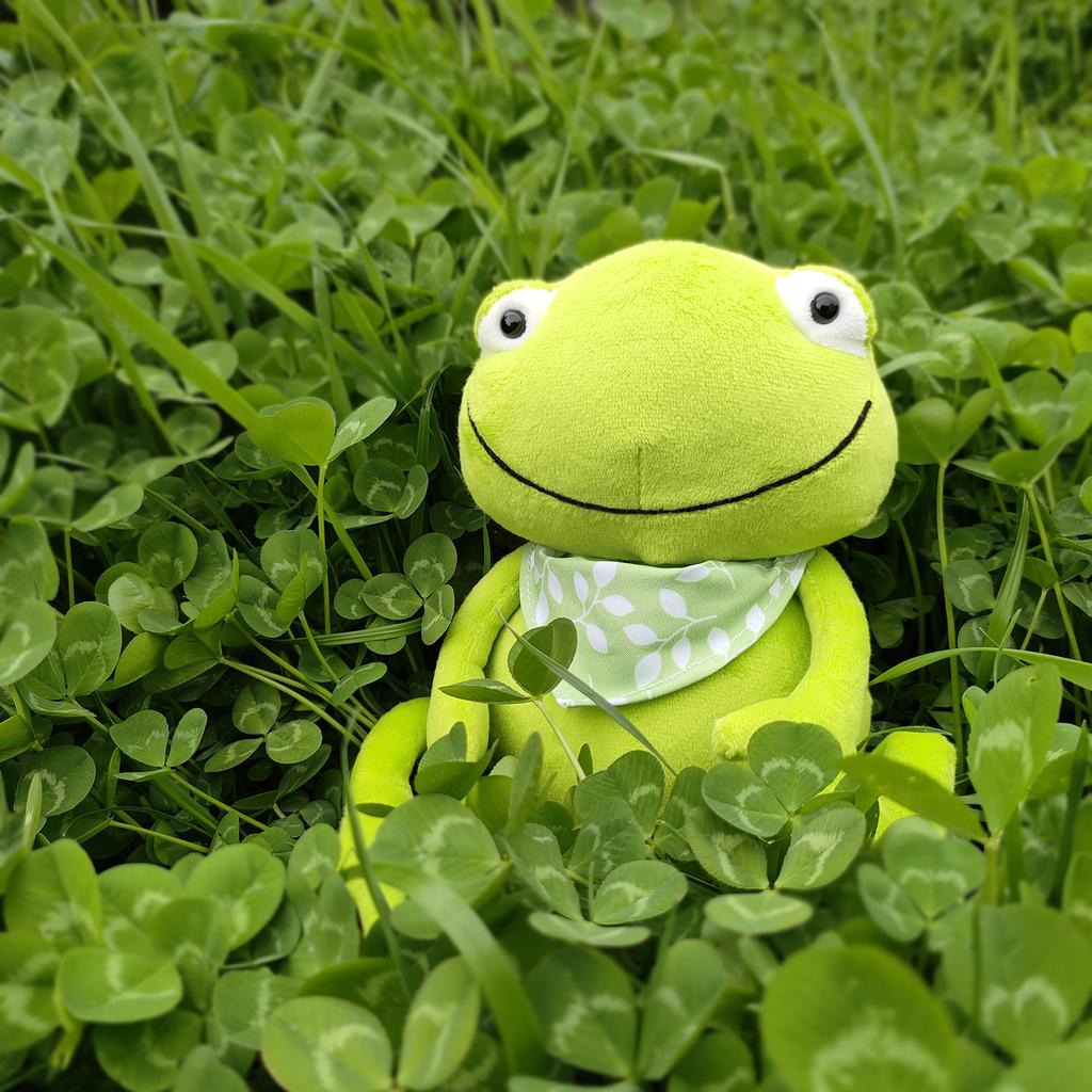 Kawaii Green Frog Plush Doll 23cm Soft Stuffed Animal Toy with Scarf Lovely Cartoon Frog Plushie for Children Baby Shower Gift