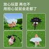 Pet Vest & Leash for Small Animals: Hamster, Squirrel, Guinea Pig, Chinchilla, Golden Bear