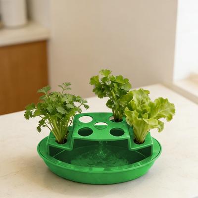 Hydroponic Scallion Planter Scallion Regrowing Container 9 Slots Kitchen Counter Planter for Soil-Free Scallion Regrowth Balcony Indoor Gardening