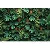 MOON.QG Tropical Leaves Backdrops Spring Garden Backgrounds Green Grass Photo Wall Customized Name Birthday Wedding Photocall