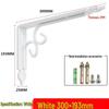 Wall-Mounted Iron Art Bookshelf/Planter Support