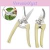 Shears Hand Tools Pruner Bonsai For Gardening Stainless Steel Pruning Shear Scissor For Flowers Branches Grass