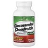 Glucosamine Chondroitin Advanced Plus MSM, 120 Coated Tablets