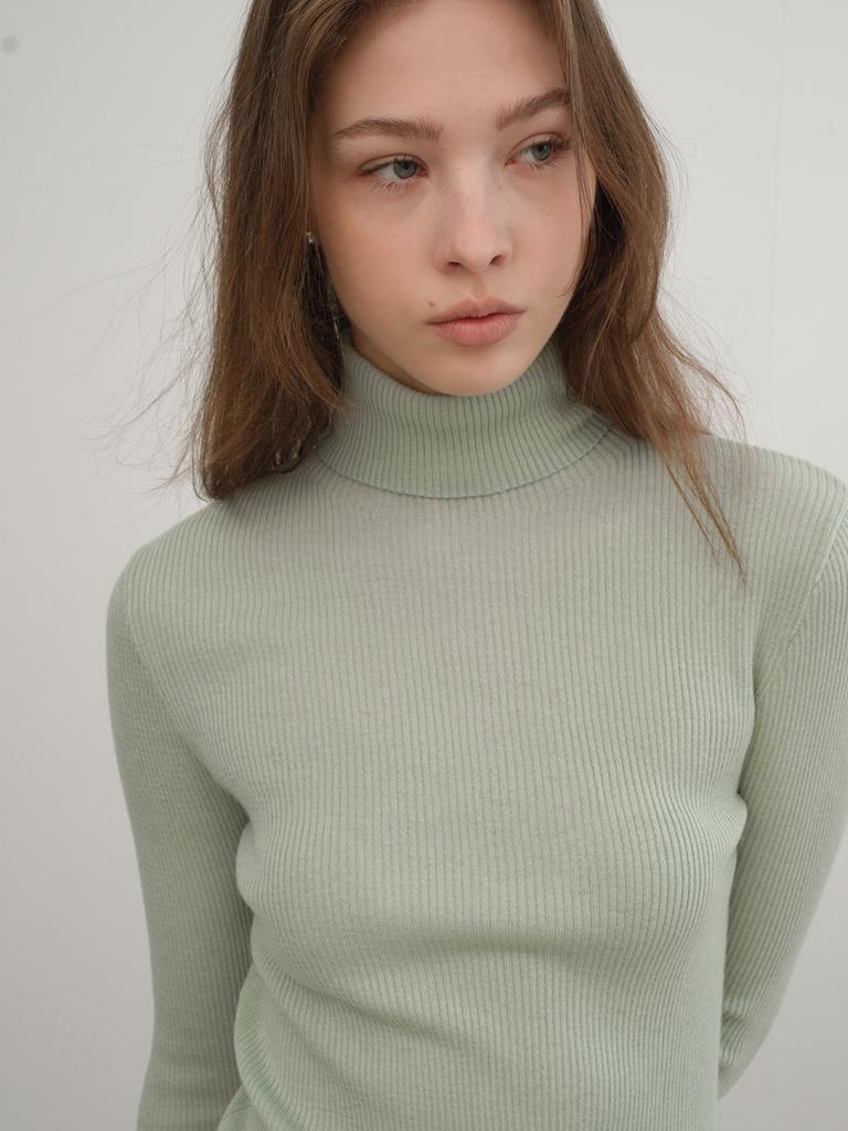 Antome Essential Fluid Turtleneck (Sage Mint)