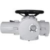 JINGJIRUIER FV-20B Electric Actuator