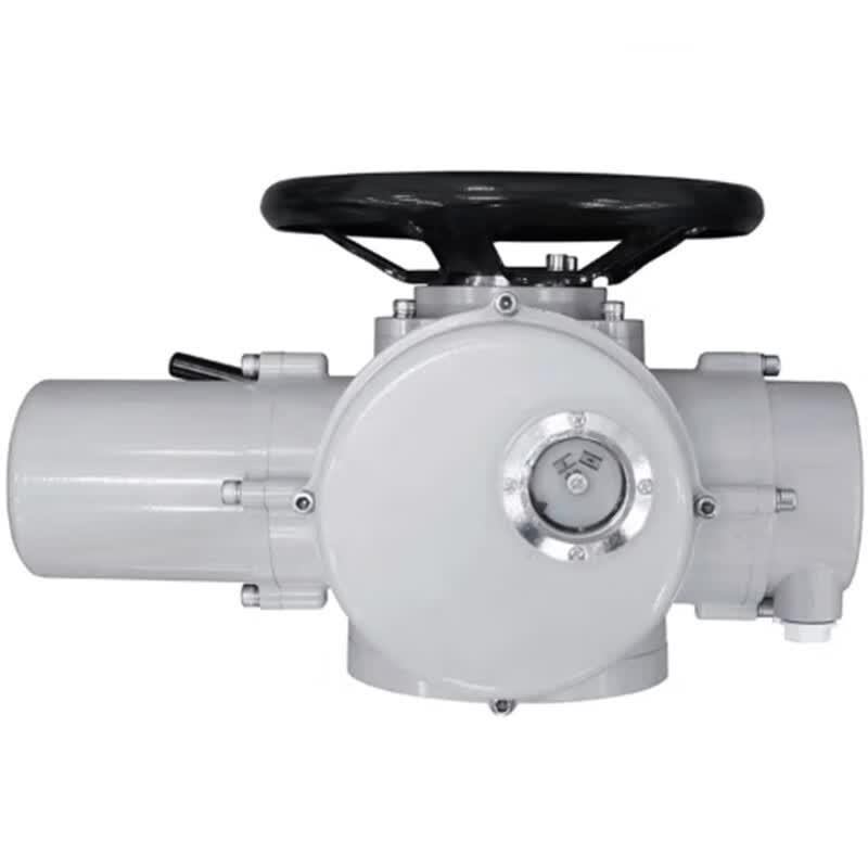 JINGJIRUIER FV-20B Electric Actuator