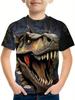Boys Girls Dinosaur T Shirt Ferocious Tyrannosaurus Rex Crack Wall 3D All Over Print Youth Short Sleeve Casual Top