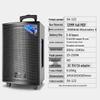 SAST SA-122 Portable Bluetooth Karaoke Speaker (CN Version)