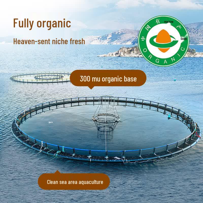Organic Lightly Dried Scallops