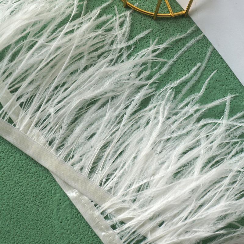 Ostrich Feather Fringe - Various Colors, 10-15cm, 1 Meter for Clothing Accessories