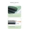 ANNAFRIS W Shape Eyelash Extensions 3D Premade Volume Fan W Style YY High Quality Natural Faux Mink Individual Lashes Supplies