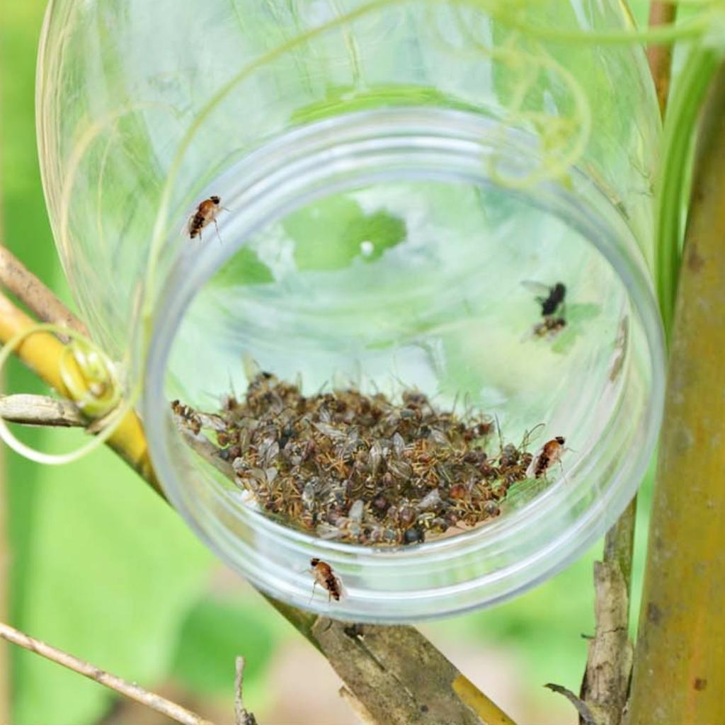 4-Holes Fruit Fly Trap Bottle Garden Orchard Greenhouse Cucumber Fruit Flies Needle Bee Drosophila Round- Shape Yellow Trap 1Pc