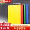 Rectangular PP Plastic Cutting Board