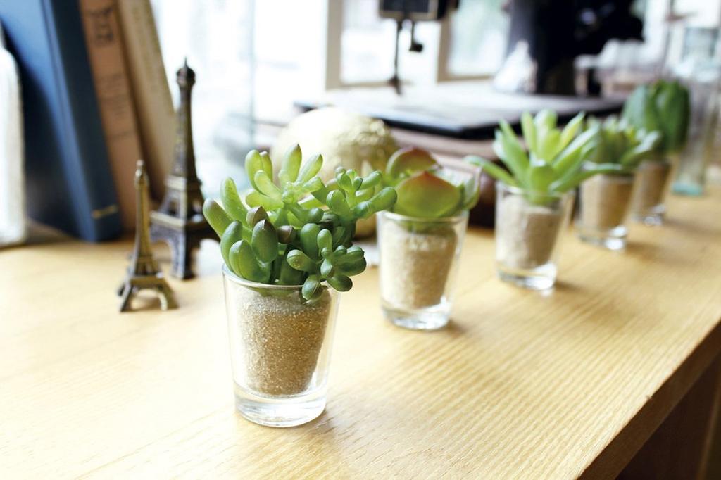 Kishima CT Catalyst Deodorizing Artificial Green Little Succulent Family KH-60989