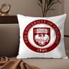 University Of C-Chicago Pillow Case Silky Elegant Comfort Sofa Bed Invisible Zipper