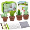 Needle Felting Pot Plant Supplies Kits with Tools, for Beginners DIY Crafts