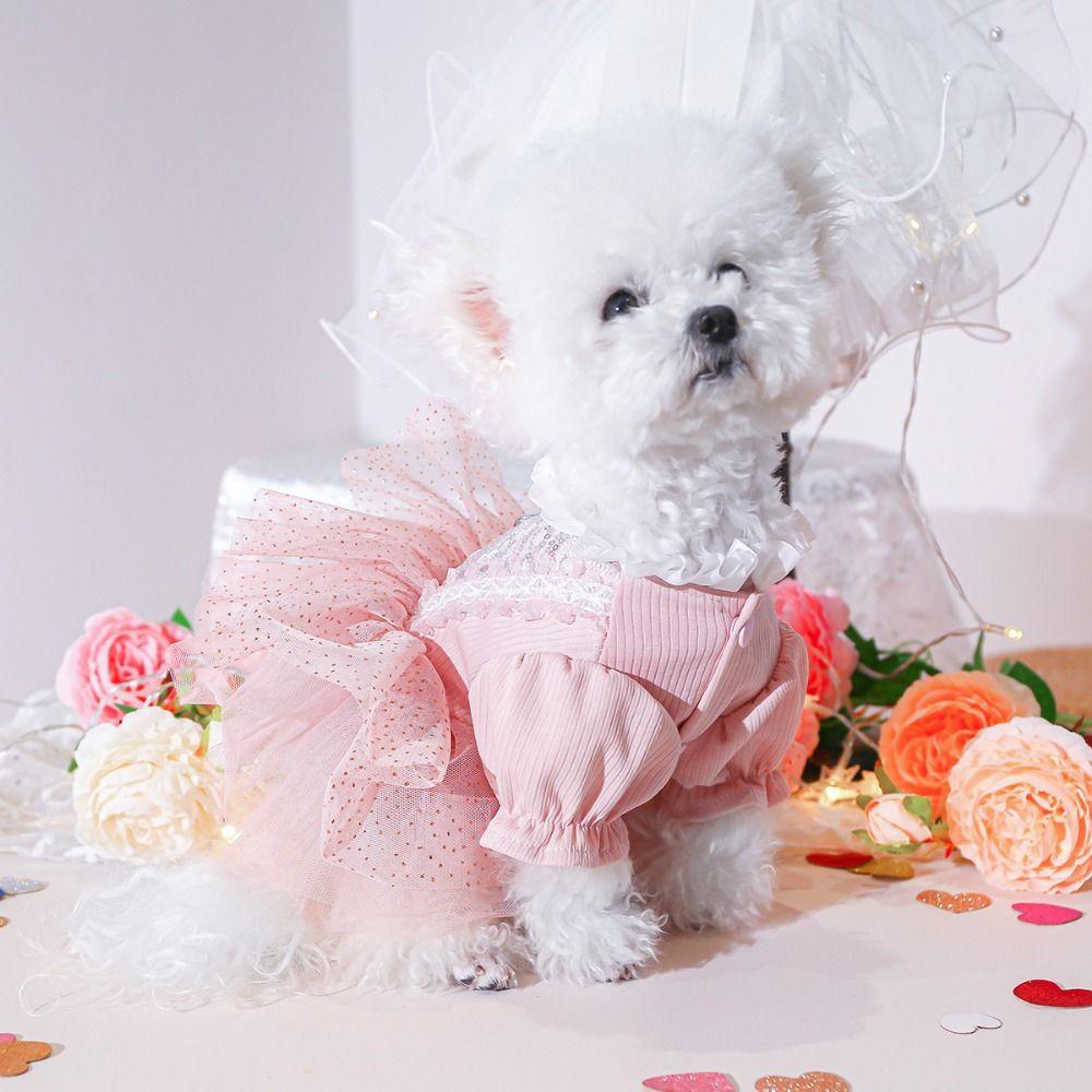 Pretty Dog Lace Skirt Princess Style Summer Dog Clothes Stylish Puppy Wedding Skirt  Dog Clothes
