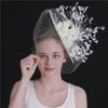 Mysterious Veil Vintage Top Hat British Mesh Headgear Celebrity Banquet Hat Hair Accessories Hairpin