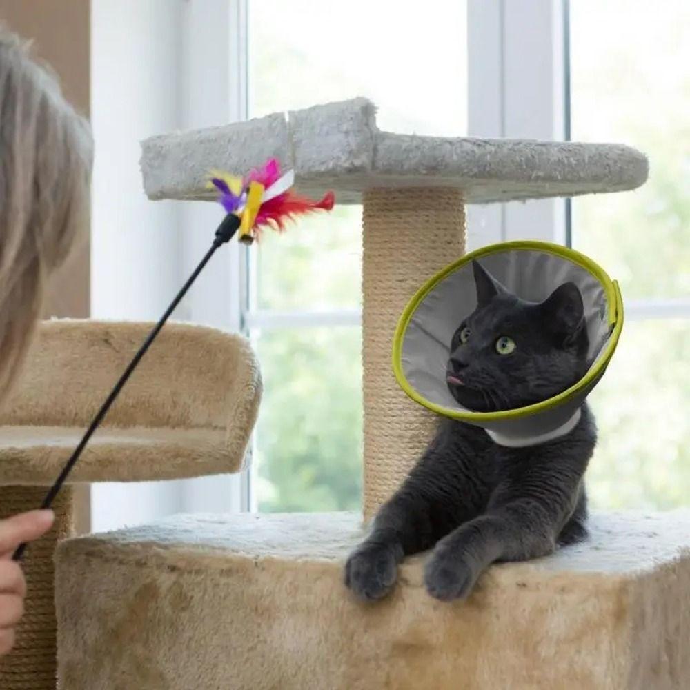 Lightweight Cat Cone Collar Anti-bite Cat Wound Recovery Sleeve Elizabethan Collars Puppy
