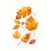Watercolor Fall Maple Leaf Canvas Gallery Wall Prints Blue Pumpkin Pumpkin Spice Typography Wall Art Farmhouse Home Decor Gift