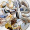 Healing Stones, Natural Montana Agate Cabochon, Loose Cabochon Lot, Mix Lot, Healing Gemstone Lot For Jewelry Making.