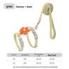 Little Bee Cat & Small Dog Harness and Leash Set