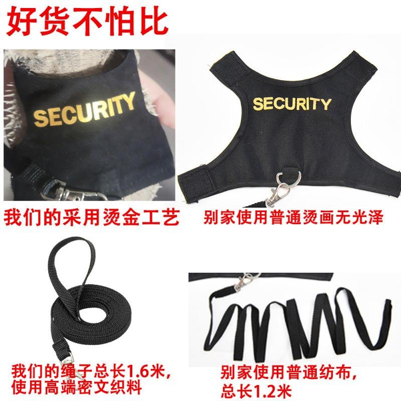 Lizard Traction Rope Climbing Pet Outdoor Harness Chameleon Squirrel Traction Rope Clothes Small Pet Supplies