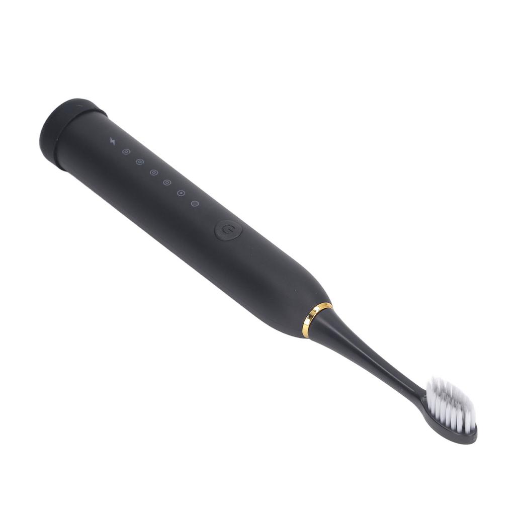 Electric Toothbrush IPX7 Waterproof 6 Modes Rechargeable Automatic Tooth Brush with 4 Heads Black