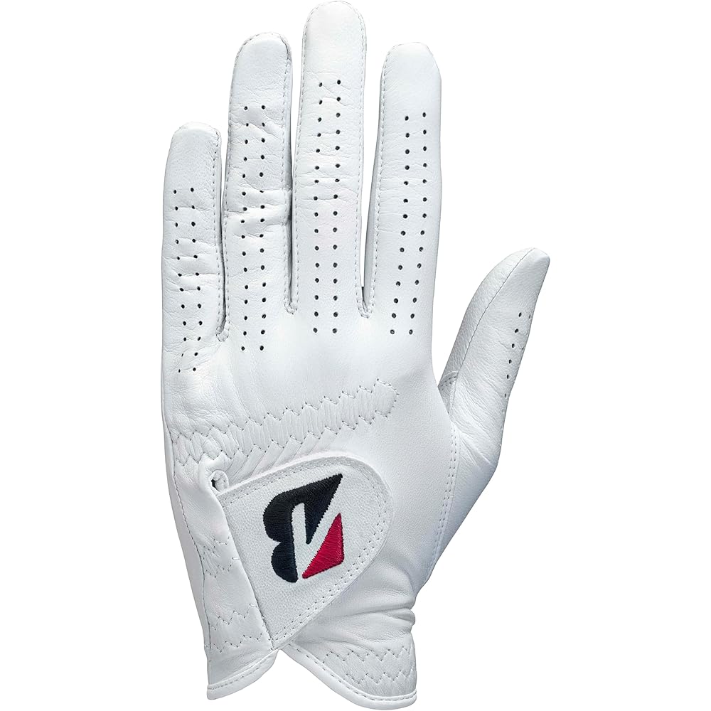 Bridgestone Tour Premium Golf Gloves White 25cm Men's GL2500WH25