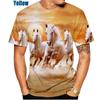 New Fashion Men Women 3d Tshirt Printied Animal Horse Creative Casual T Shirts for Men