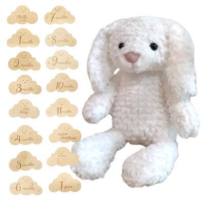 MIHI Plüsch Monatskarte aus Holz (Wolkenform) Set [Authentisch, Lebensmittelsicherheitsgesetz konform] Tier, Flauschig, Erstes Spielzeug, Buchstabenbanner (weißer Hase)