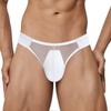 Men Erotic Clothing Underwear Men Briefs Sexy Mesh Underpants Bulge Penis Pouch Low Waist Panties Lingerie Sexy Adults Mens Underpants