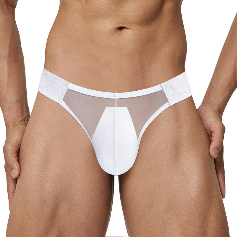 Men Erotic Clothing Underwear Men Briefs Sexy Mesh Underpants Bulge Penis Pouch Low Waist Panties Lingerie Sexy Adults Mens Underpants