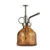Retro Transparent Embossed Glass Watering Pot Succulent Watering Pot Small Spray Press Watering Pot Empty Bottle