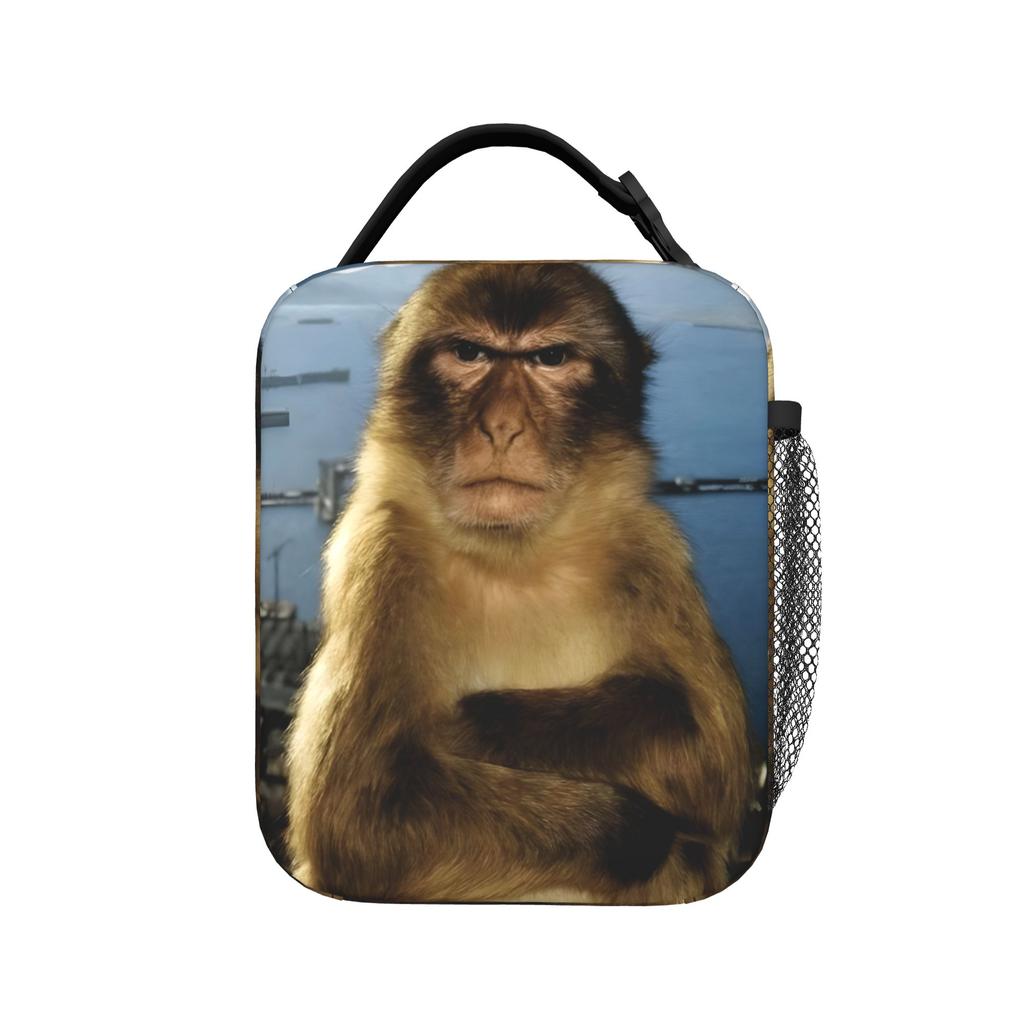 Thinking Monkey Meme Insulated Lunch Bag for Men Women Food Bag Reusable Thermal Cooler Bento Box For Work