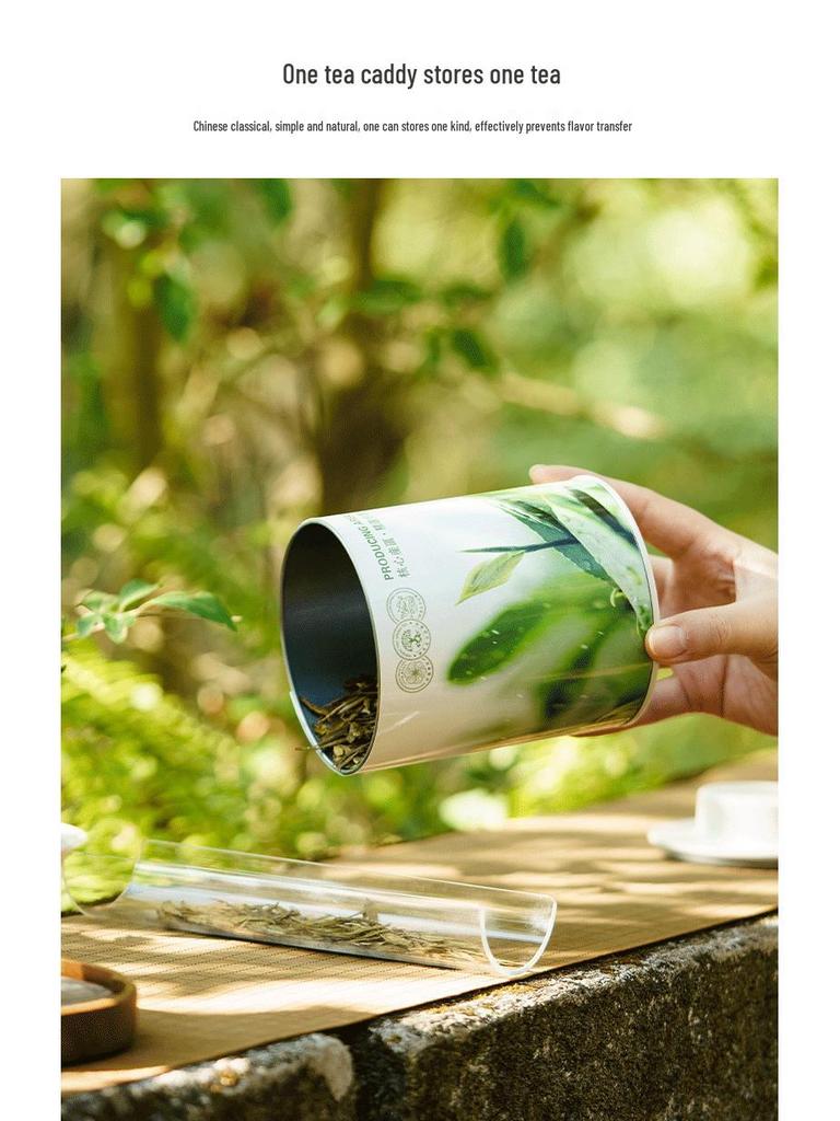 Fresh Green Tea Gift Box: Longjing, Biluochun, Gyokuro Varieties with Towel