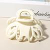 2026 Summer Medium Hairpin: Elegant High-End Shark Clip for Women's Bun
