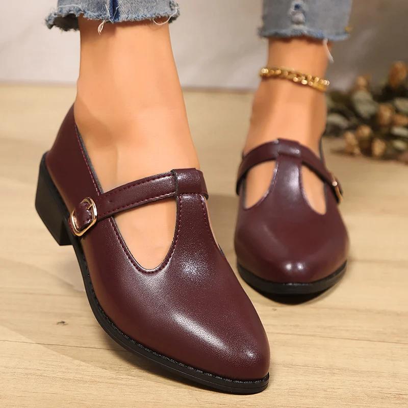 Fashion 2025 Spring T-Strap Thick Heels Pumps Women Vintage Pointed Toe Med Heel Mary Jane Shoes Woman Plus Size Pu Leather Shoes Mujer