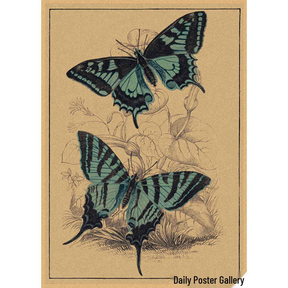 Retro Schmetterlings-Illustrationsposter: Handbemalte Tier-Wandkunst im Vintage-Stil, europäisch & amerikanisch