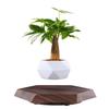 YIXI Magnetic Levitation Plant Pot