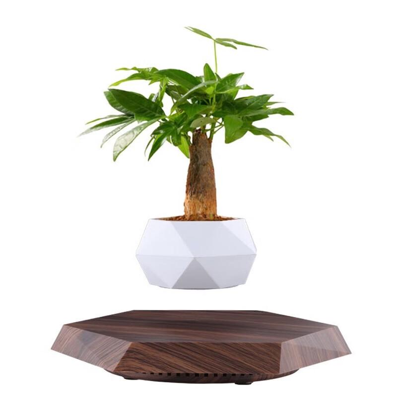 ИКСИ Магнитная левитация цветочный горшок