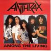 [USED] Anthrax "AMONG THE LIVING" Beautiful LP record