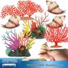 Marine Life Simulation Model: Seashell, Coral, Jellyfish, Seaweed - Beach Ornament & Children's Cognitive Gift