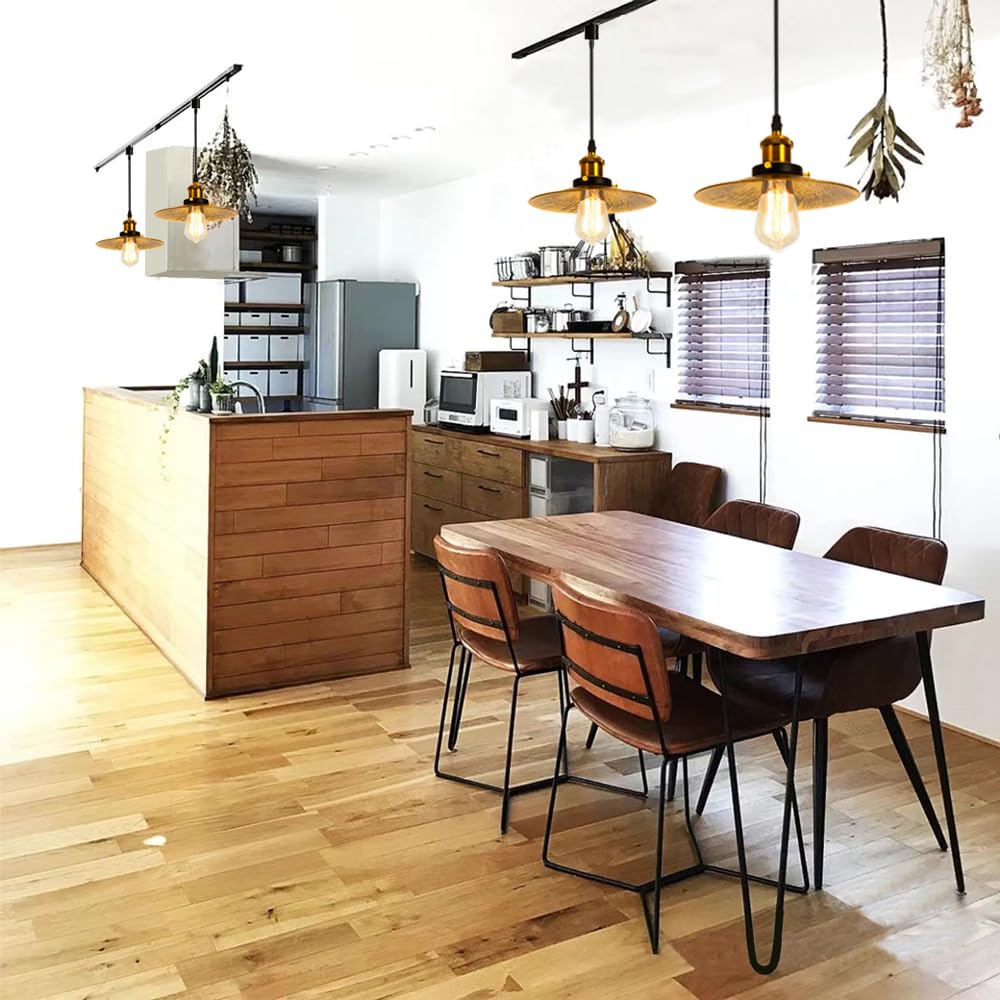 Retro Pendant Hanging Ceiling Nordic Modern Industrial E26 Bulb Not Steel for Dining Interior Ceiling Light Fixture Retro Copper 2 Copper-colored