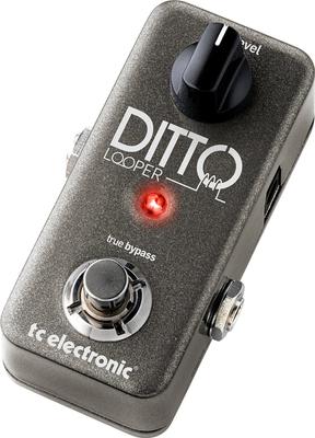 Tc Electronic 1 Button Looper DITTO LOOPER