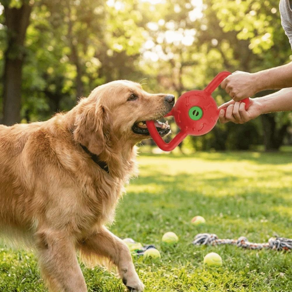 Pull Ring Bite Resistant Dual Handle Dog Puzzle Sound Pet Chew Plastic Squeaky Dog Outdoor Play